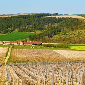 Dans quel lieu insolite dormir en Bourgogne ?