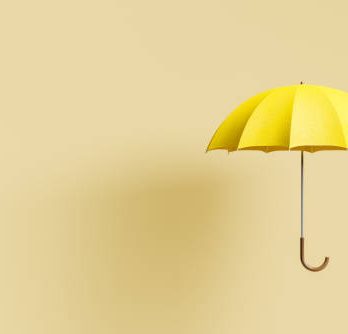 Quels sont les éléments qui constituent un parapluie ?