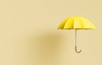 Quels sont les éléments qui constituent un parapluie ?